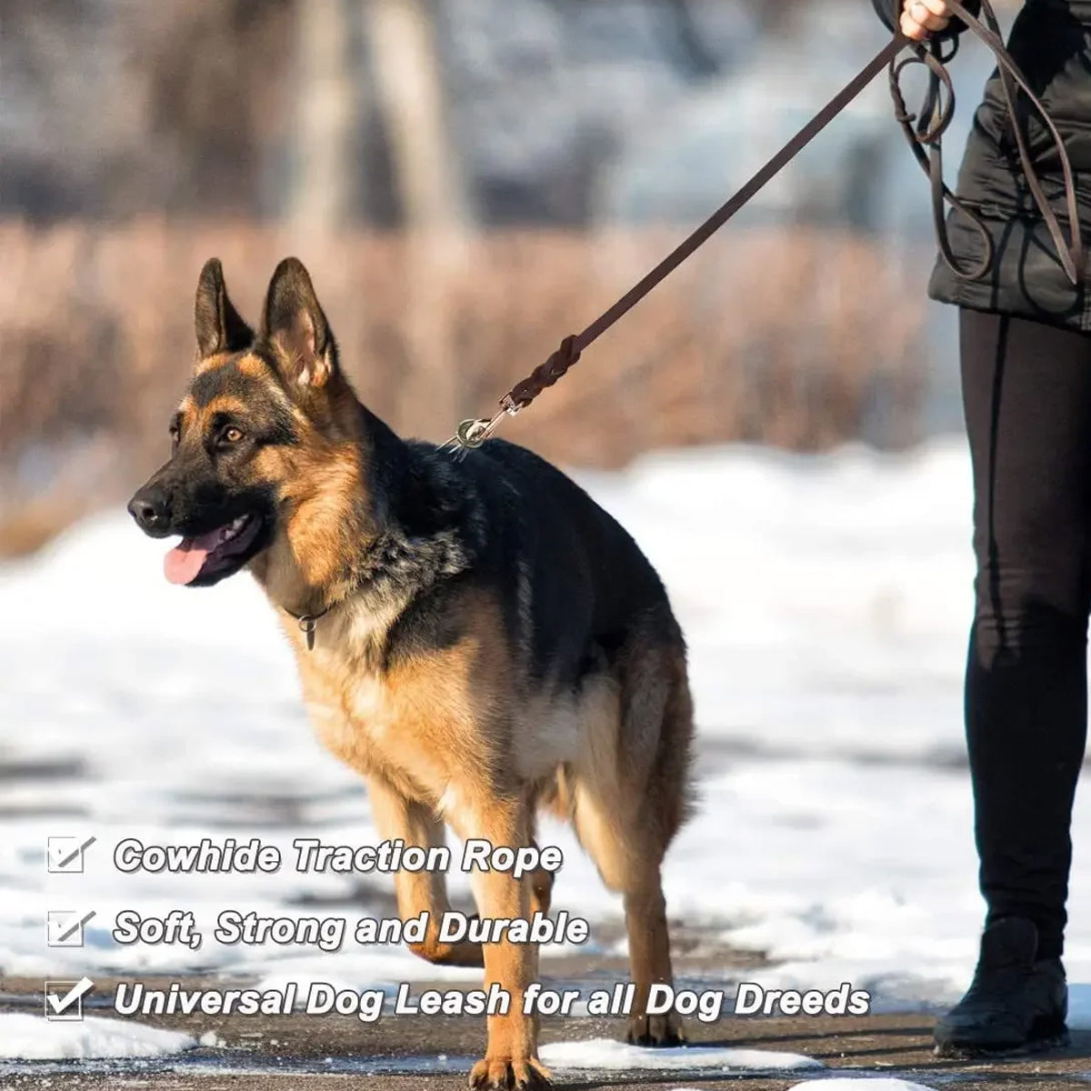 Dog Leash Cowhide Lead Heavy Duty Leather M Size Brown For Walking Training - Black