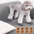 Winter Pet Dog Snow Boots Teddy Puppy Non-Slip Cotton Shoes Warm Puppy Foot - Brown-M