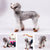 Winter Pet Dog Snow Boots Teddy Puppy Non-Slip Cotton Shoes Warm Puppy Foot - Brown-M