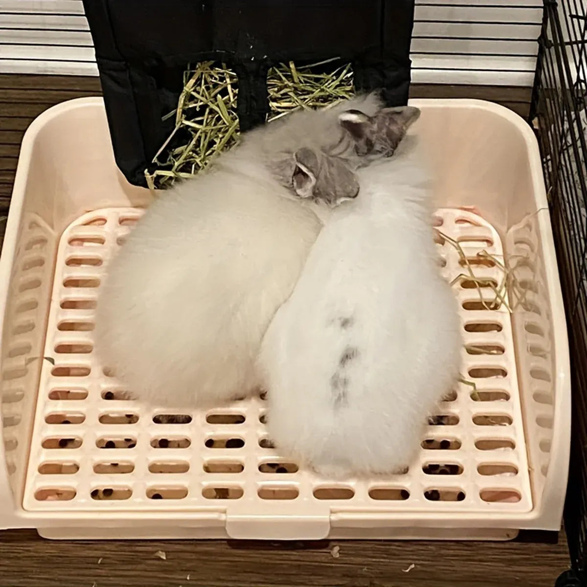 Large Rabbit Litter Box Drawer Corner Toilet for Chinchillas Hamsters Small Pets - Beige