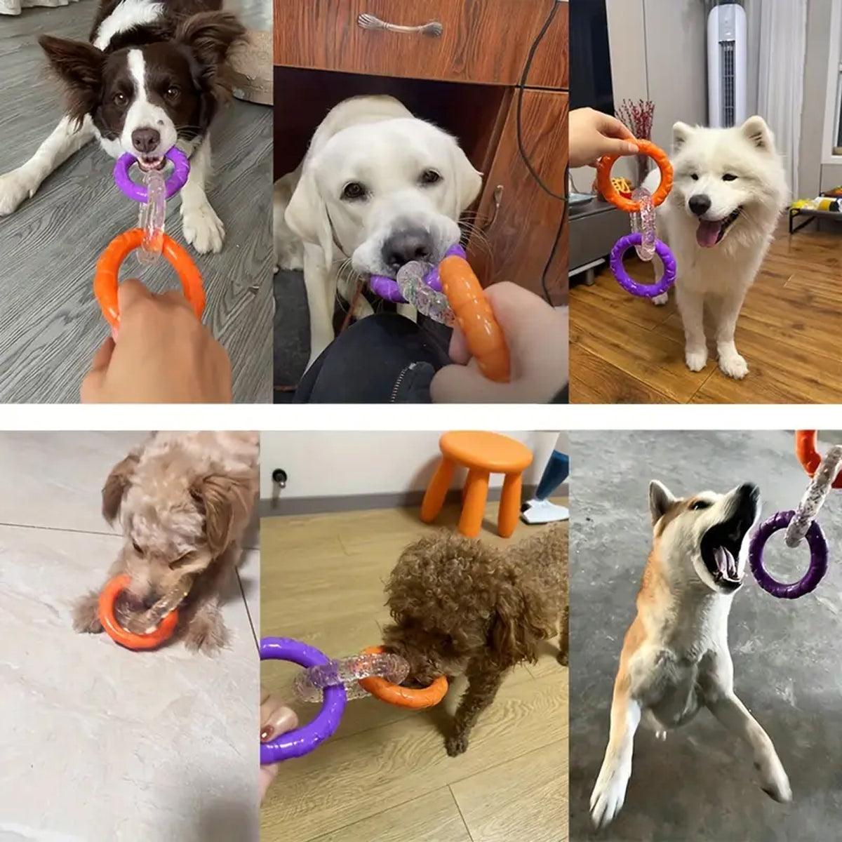 Interactive Dog Toys TRP Rubber Ring Teething Pet Rally Ring Chew Play Fetch - Orange-Purple