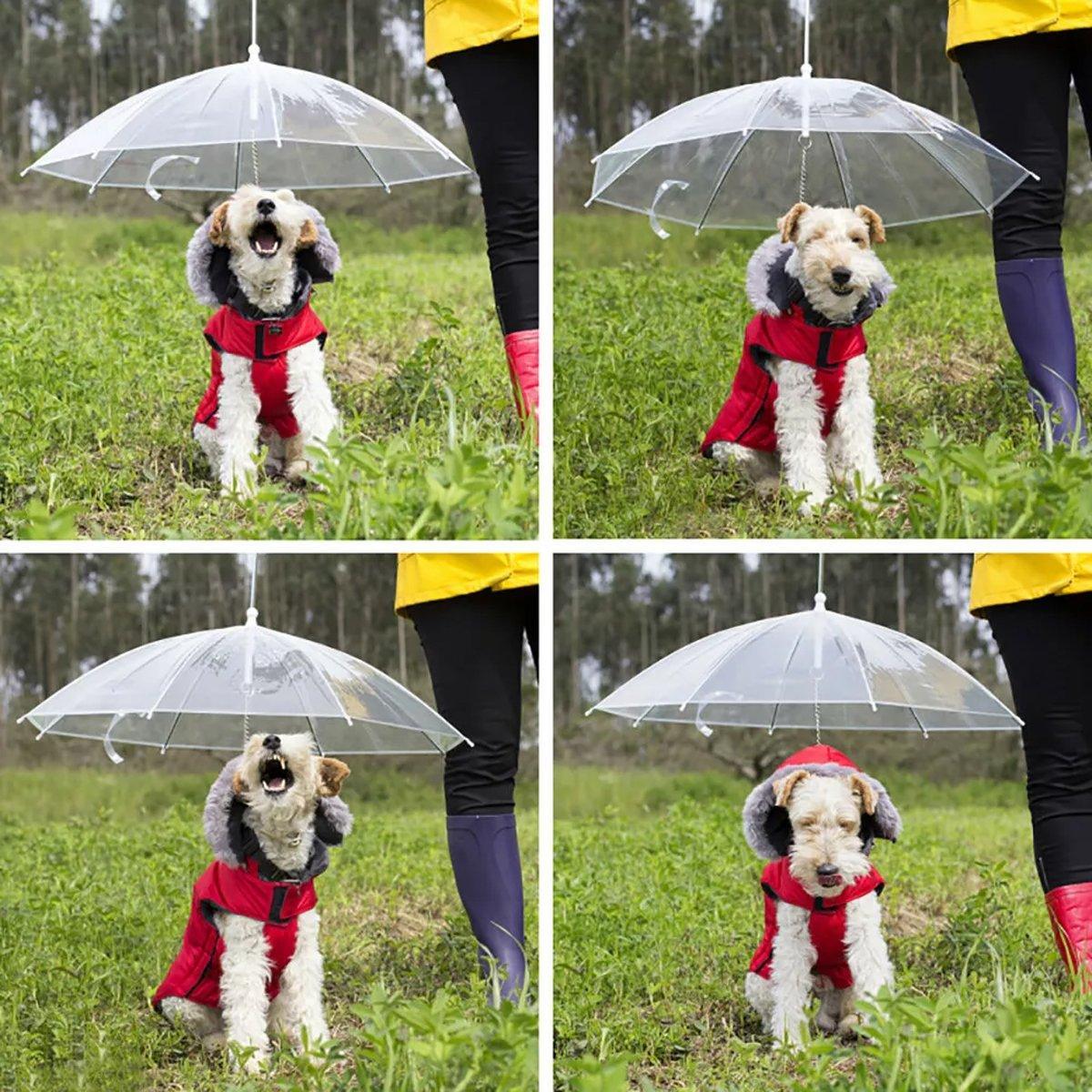 Pet Dog Transparent Umbrella 30 inch Diameter With Dog Leash For Rain Walking Outdoor