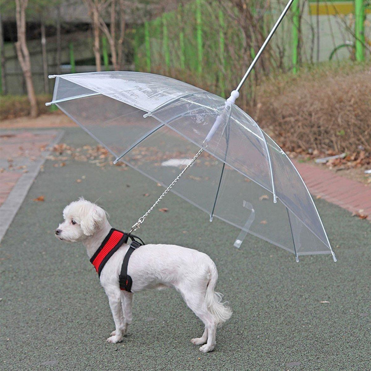 Pet Dog Transparent Umbrella 30 inch Diameter With Dog Leash For Rain Walking Outdoor