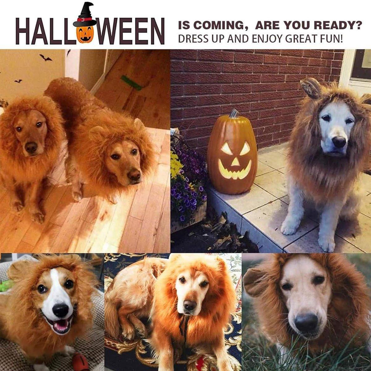 Lion Costume Mane Wig Large Dog Fancy Dress Up Party for Pet Halloween Clothes - Coffee-M
