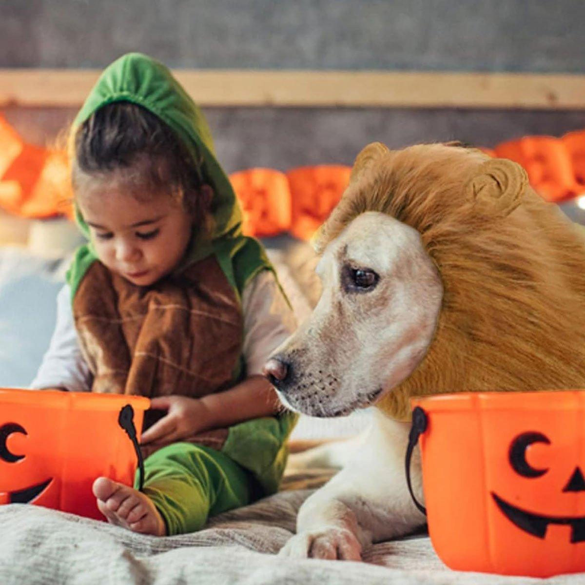 Lion Costume Mane Wig Large Dog Fancy Dress Up Party for Pet Halloween Clothes - Light Brown-S