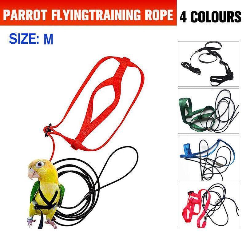 M Pet Parrot Bird Harness Lead Leash Flying Training Rope Cockatiel Outdoor - Blue