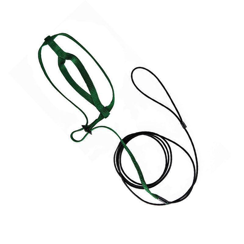 M Pet Parrot Bird Harness Lead Leash Flying Training Rope Cockatiel Outdoor - Green