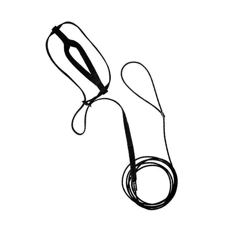 M Pet Parrot Bird Harness Lead Leash Flying Training Rope Cockatiel Outdoor - Red