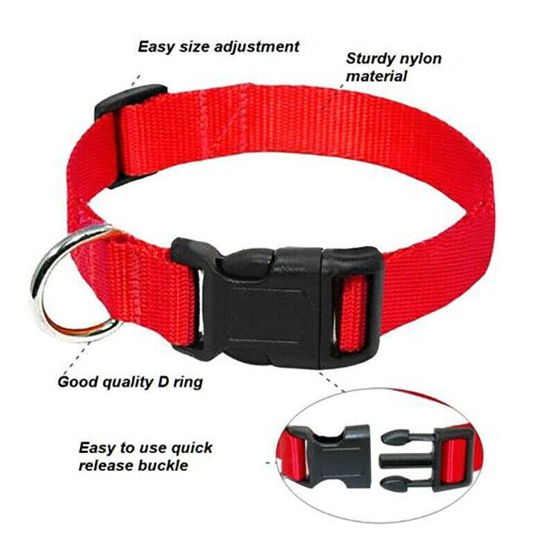 XS Size Dog Puppy Pet Collar Adjustable Nylon Toy Pink Blue Red Black - Blue