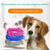 Short Adjustable Pet Anti Flea Tick Neck Collar For Dog Cat Kitten 8 Months Protect - Blue