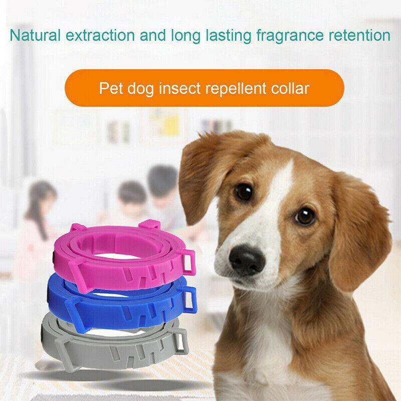 Short Adjustable Pet Anti Flea Tick Neck Collar For Dog Cat Kitten 8 Months Protect - Grey