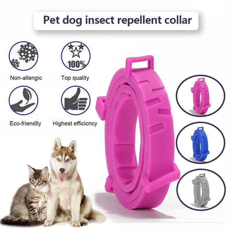 Short Adjustable Pet Anti Flea Tick Neck Collar For Dog Cat Kitten 8 Months Protect - Pink