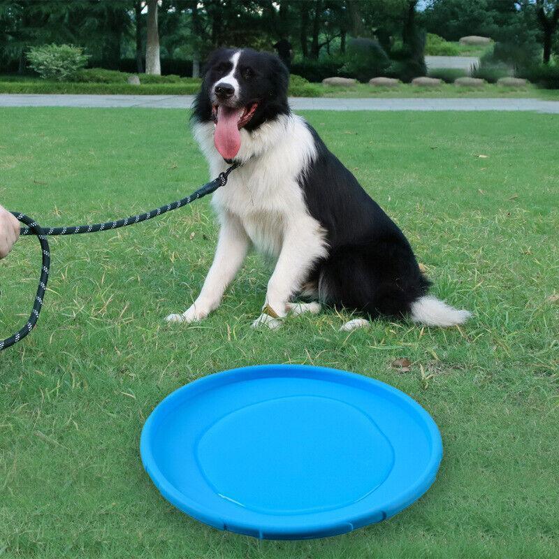 Frisbee Toy for Dogs Outdoor Fetch Training Soft Rubber Pet Flying Disc 18cm - Blue