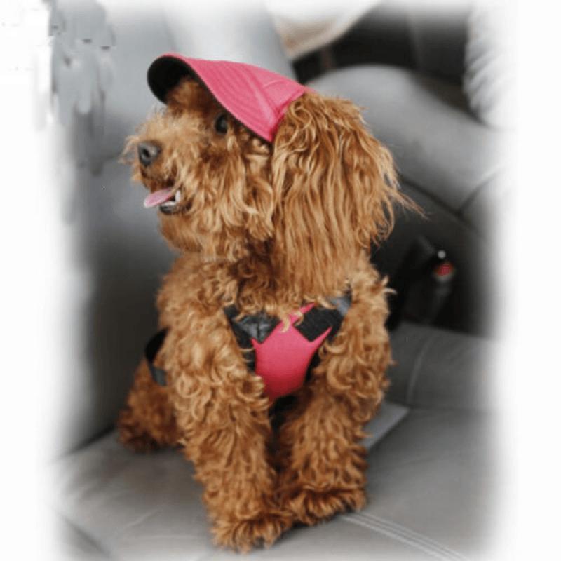 Dog Baseball Cap Outdoor Pet Sun Hat Summer Canvas Visor Puppy M Size - Black