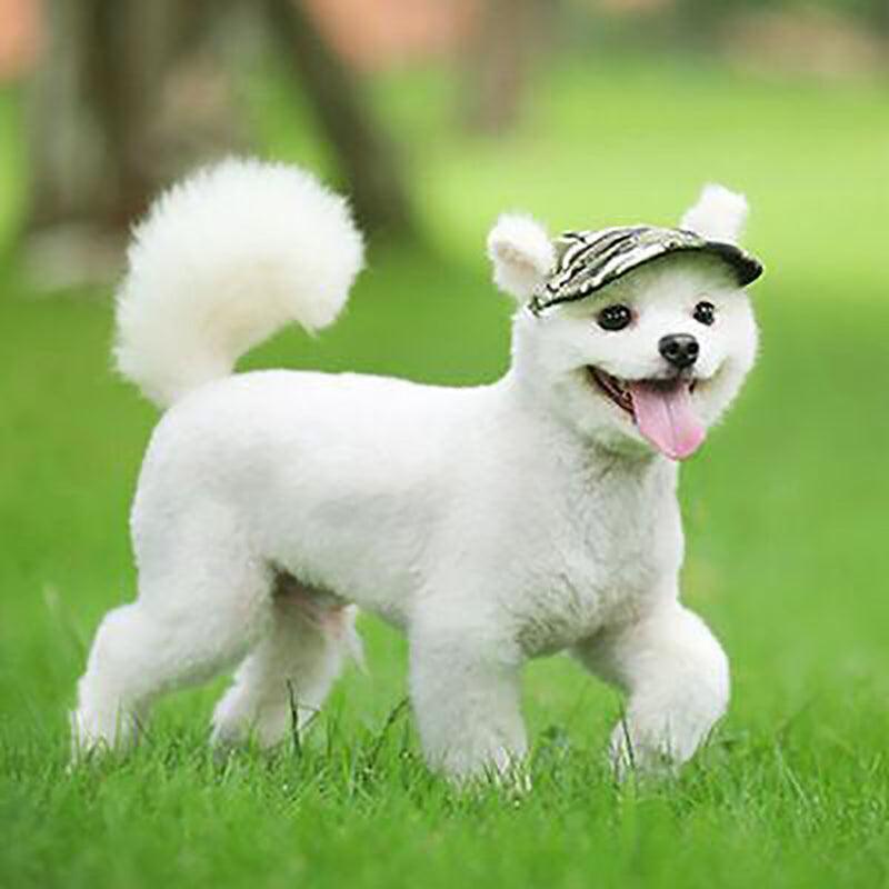 Dog Baseball Cap Outdoor Pet Sun Hat Summer Canvas Visor Puppy M Size - Black