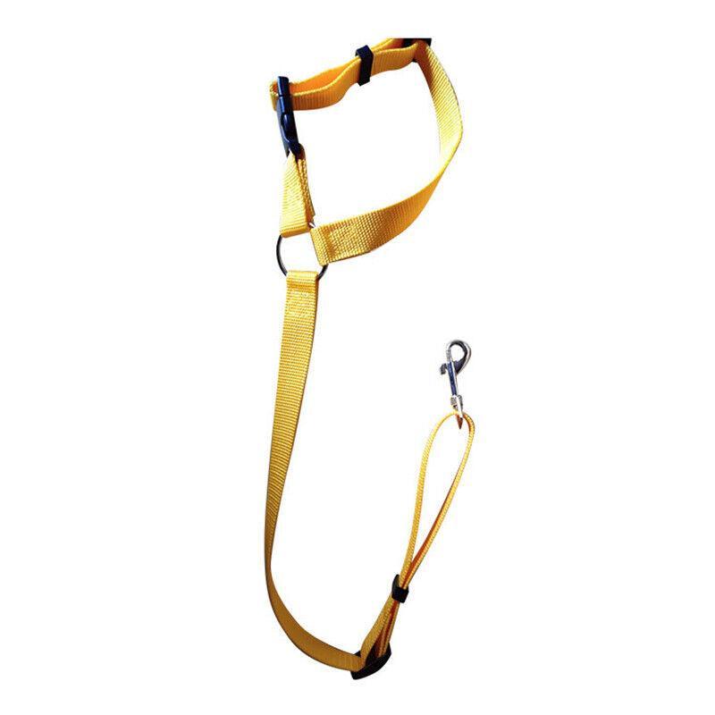 Adjustable Pet Dog Car Clip Lead Harness Strap for Vehicle Travel Restraint Use - Blue