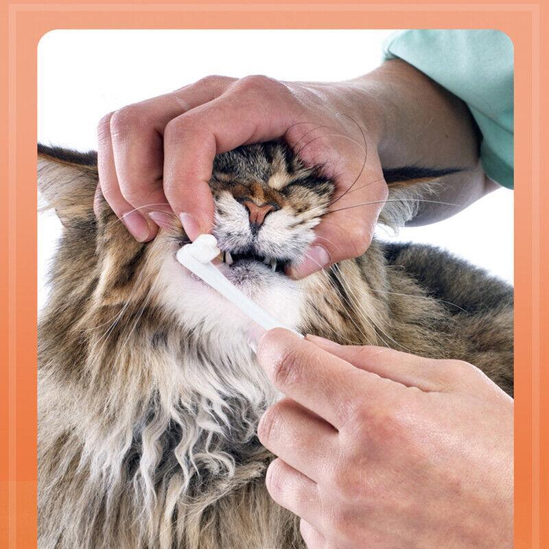 Pet Toothbrush Toothpaste Set for Cats and Dogs Vanilla Flavor Oral Care Kit