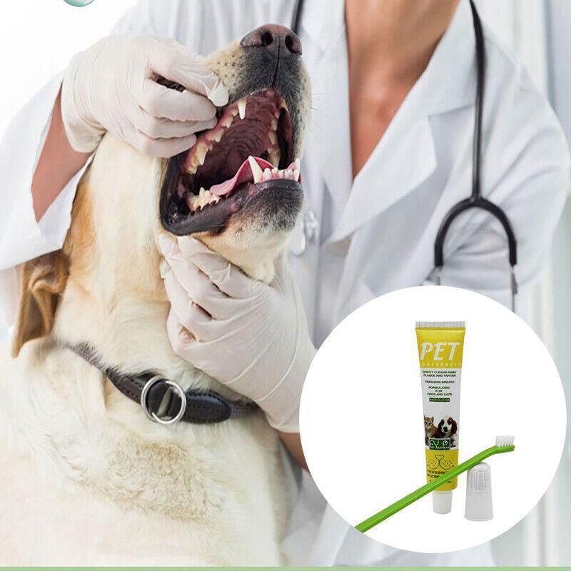 Pet Dog Cat Toothpaste and Toothbrush Set Beef Flavor