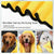 Pet Drying Towel Ultra-Absorbent Water Dog Cat Bath Microfiber Clean Soft Cloth - 50 X 100CM