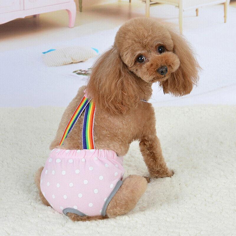 Female Pet Dog Cat Puppy Pant Menstrual Sanitary Nappy Diaper Wrap Underwear Blue - M
