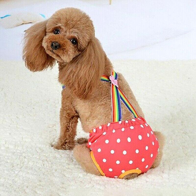 Female Pet Dog Cat Puppy Pant Menstrual Sanitary Nappy Diaper Wrap Underwear Blue - M