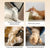 Dog Pet U Shaped Pillow Cartoon Breathable Cat Sleeping Cushion for All Seasons - Brown