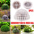 3pcs Aquarium Plastic Moss Ball Fish Decoration Aquatic Plant Accessories