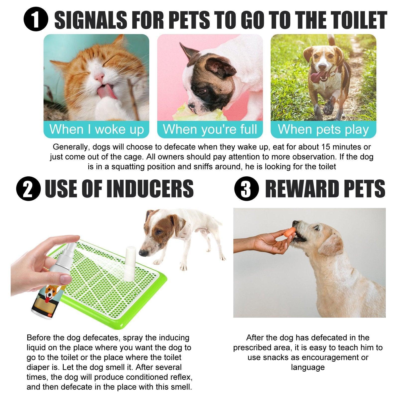Pet Toilet Training Spray Inducer Dog Poops Cat Pee Urine Positioning Defecation
