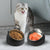 Pet Dog Cat Food Bowl Raised No Slip Stainless Steel Tilted Water Food Feeder - Matcha Green
