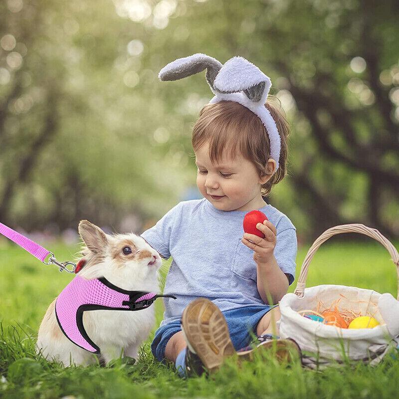 Rabbit Vest Harness Leash Lead Small Animal Pet Mesh Hamster Bunny Traction Rope L - Black