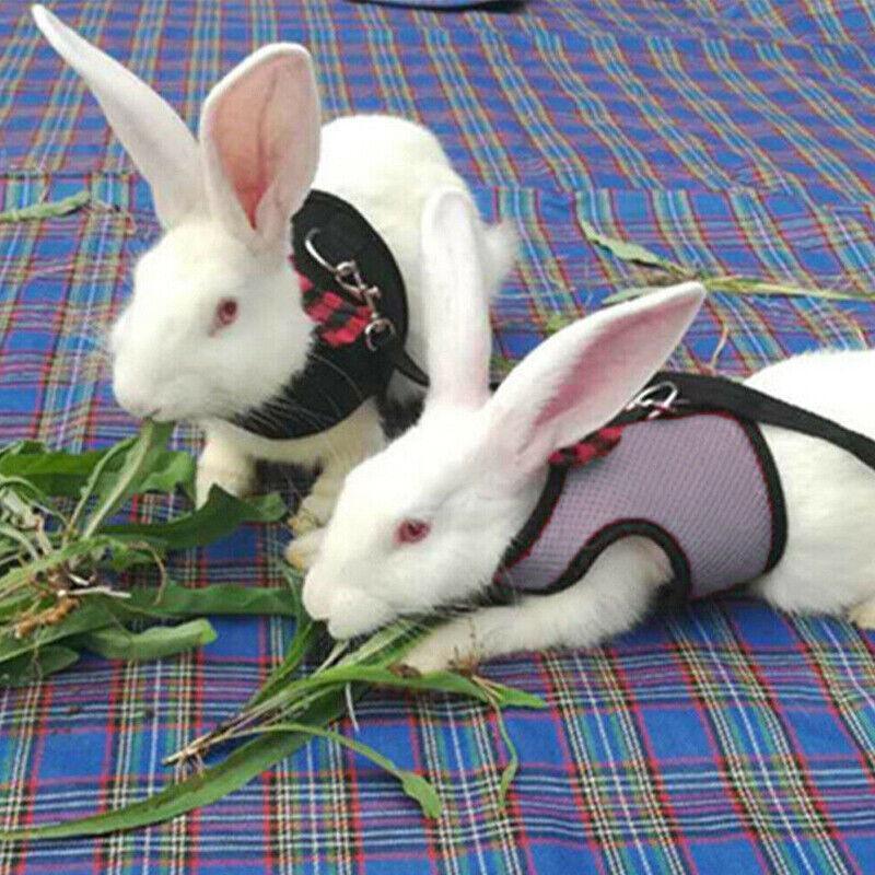 Rabbit Vest Harness Leash Lead Small Animal Pet Mesh Hamster Bunny Traction Rope L - Black