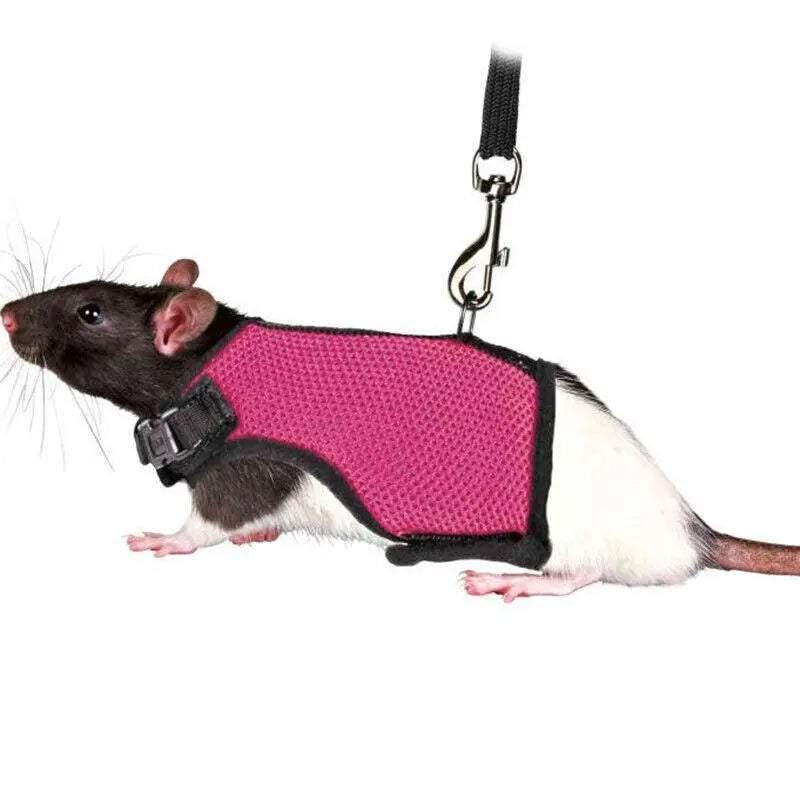 Small Animal Harness Guinea Pig Forret Hamster Rabbit Squirrel Vest Clothes Lead M Size - Rose Red