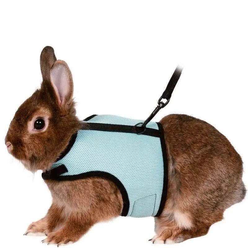 Small Animal Harness Guinea Pig Forret Hamster Rabbit Squirrel Vest Clothes Lead M Size - Rose Red