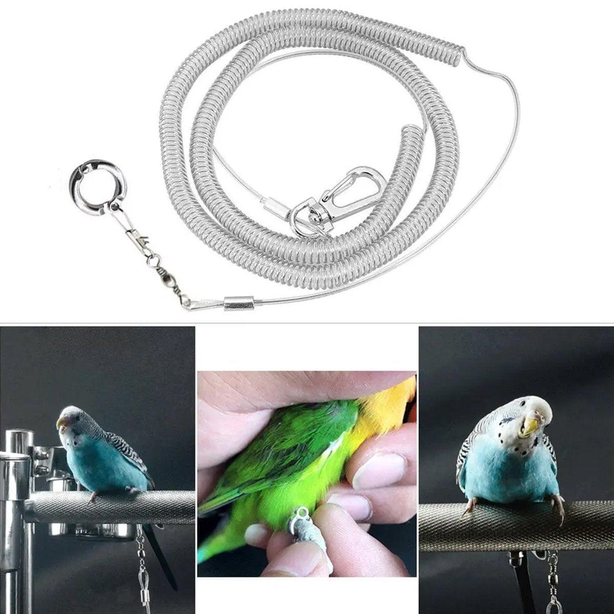 Parrot Leg Ring Anti Slip Bird Anklet Elastic Rope with Alloy Fasteners Supplies - 5mm
