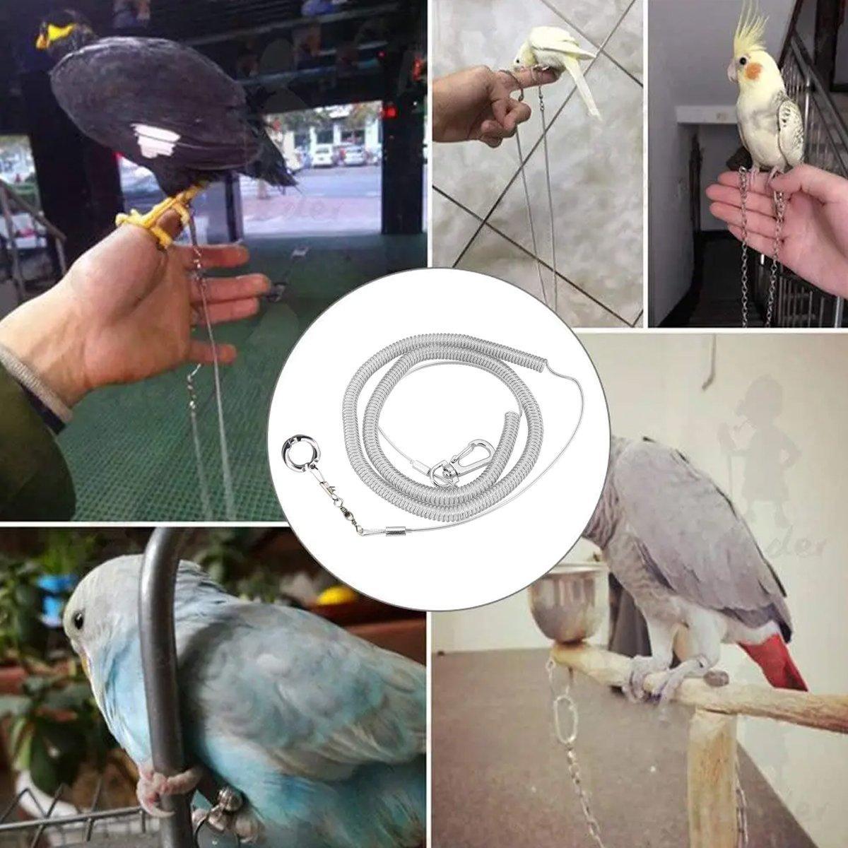 Parrot Leg Ring Anti Slip Bird Anklet Elastic Rope with Alloy Fasteners Supplies - 8mm