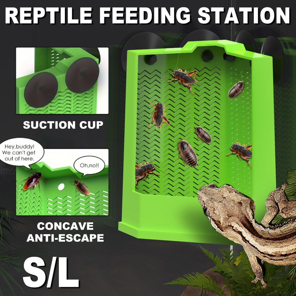 Reptile Hunting Dish Predator Trap Hanging and Placing Field Tool for Outdoors - L