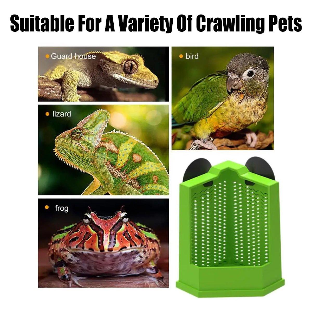 Reptile Hunting Dish Predator Trap Hanging and Placing Field Tool for Outdoors - L