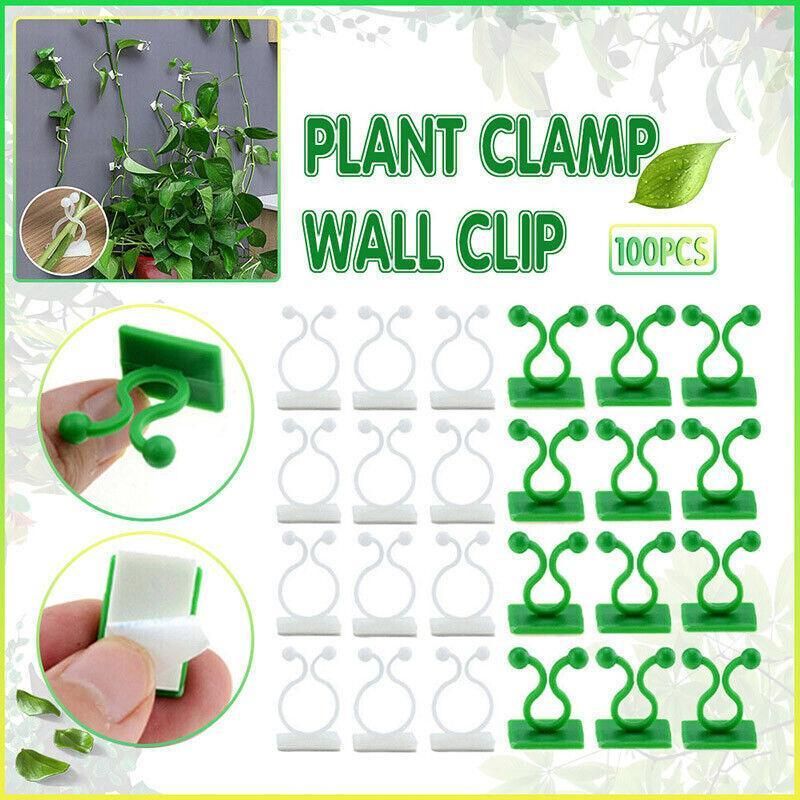 100Pcs Invisible Wall Clips for Plant Climbing &amp; Vine Support