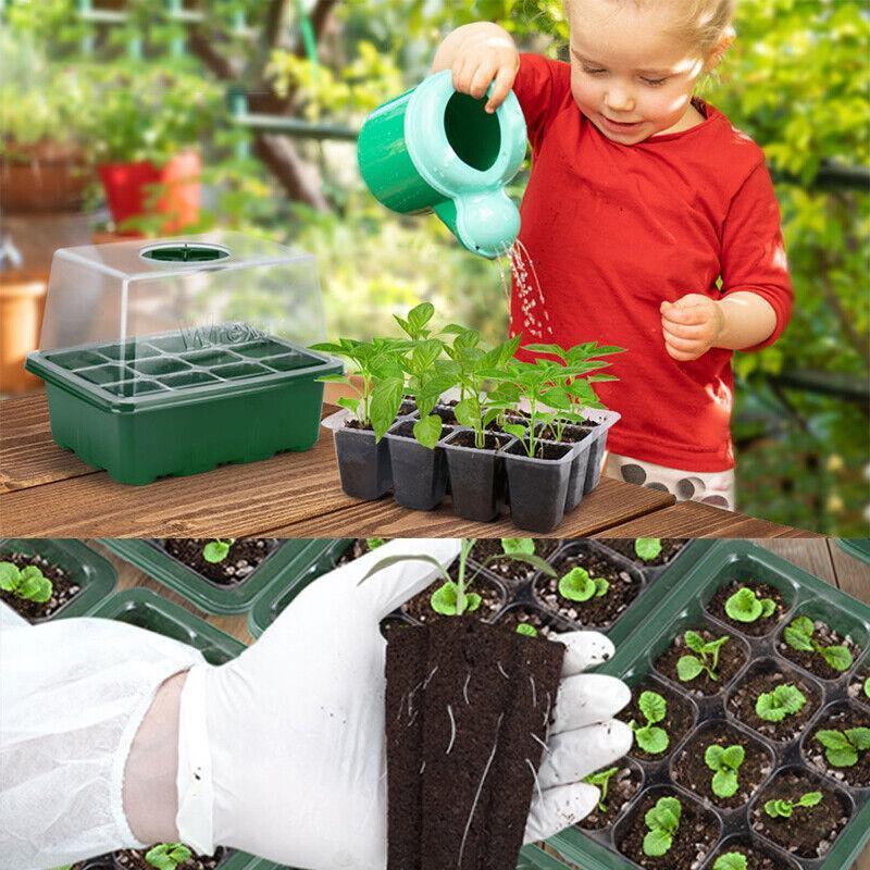 3/5/10 Set 12 Hole Plant Seed Grow Box Propagation Nursery Seedling Starter Tray - 3PCS
