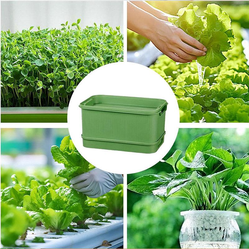 Seedling Tray Sprout Tray Soilless Hydroponic Planting Pot for Indoor Gardening - Green