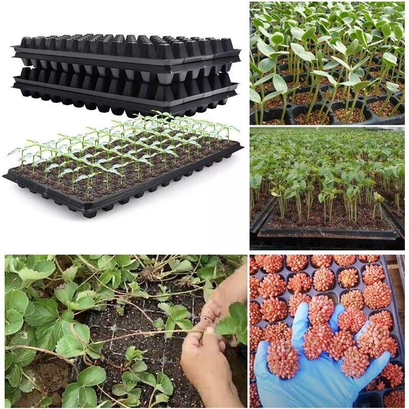 12PCS 72 Cell Seedling Trays Nursery Propagation Inserts for Plant Starter Growing