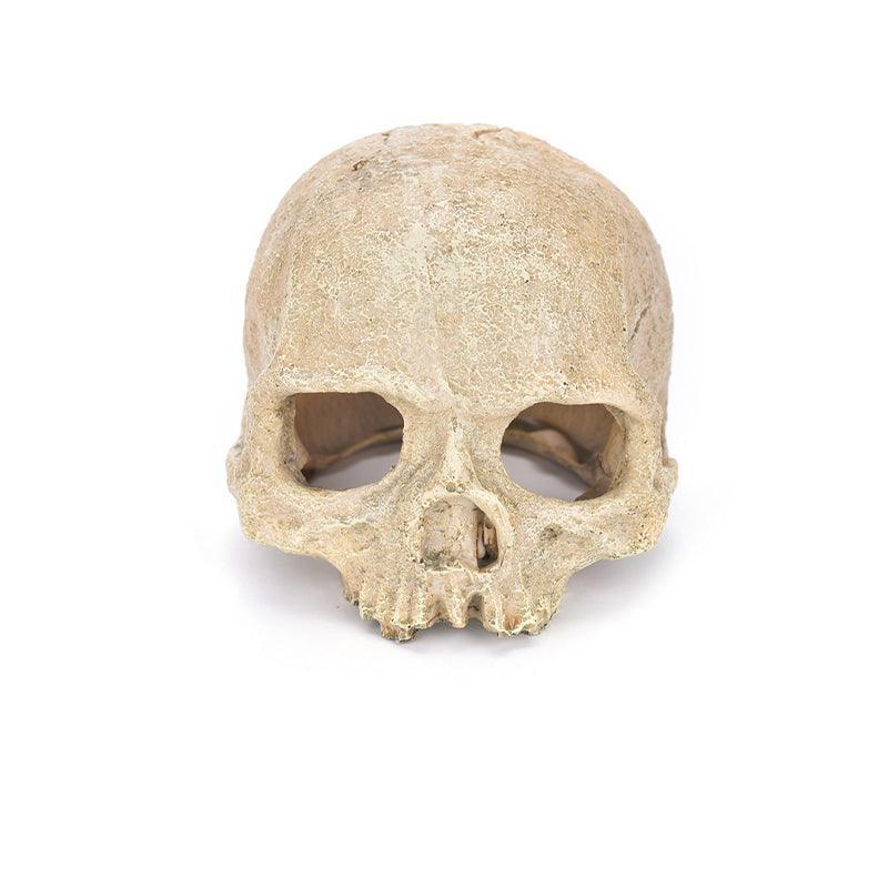 Artificial Fake Skull Head Bone Aquarium Ornament Fish Tank Decoration - Hat
