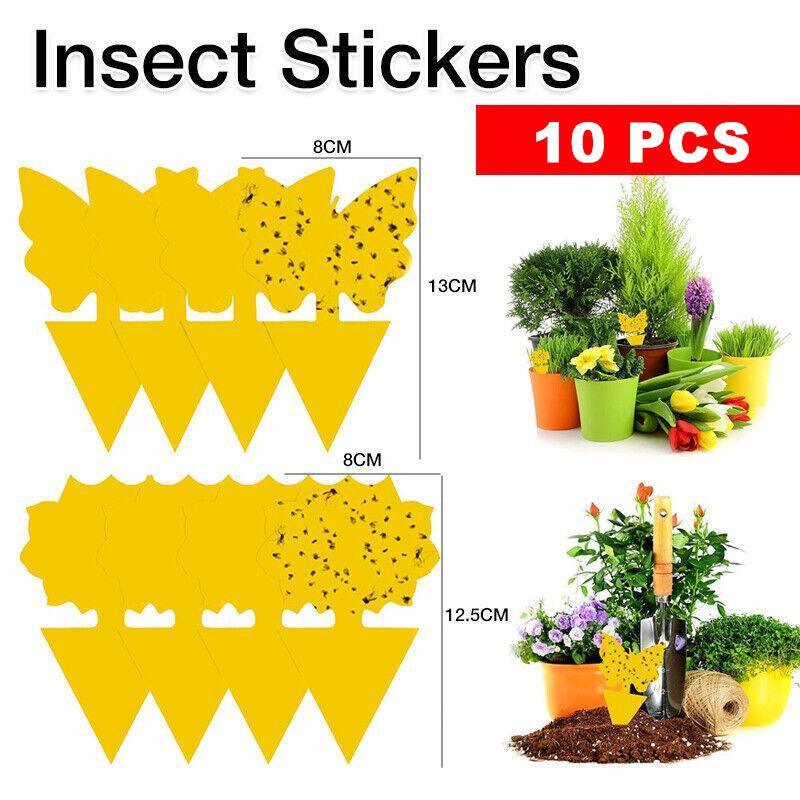 10X Dual Sided Sticky Trap Insect Killer Whitefly Thrip Fruit Fly Gnat - Butterfly 30PCS