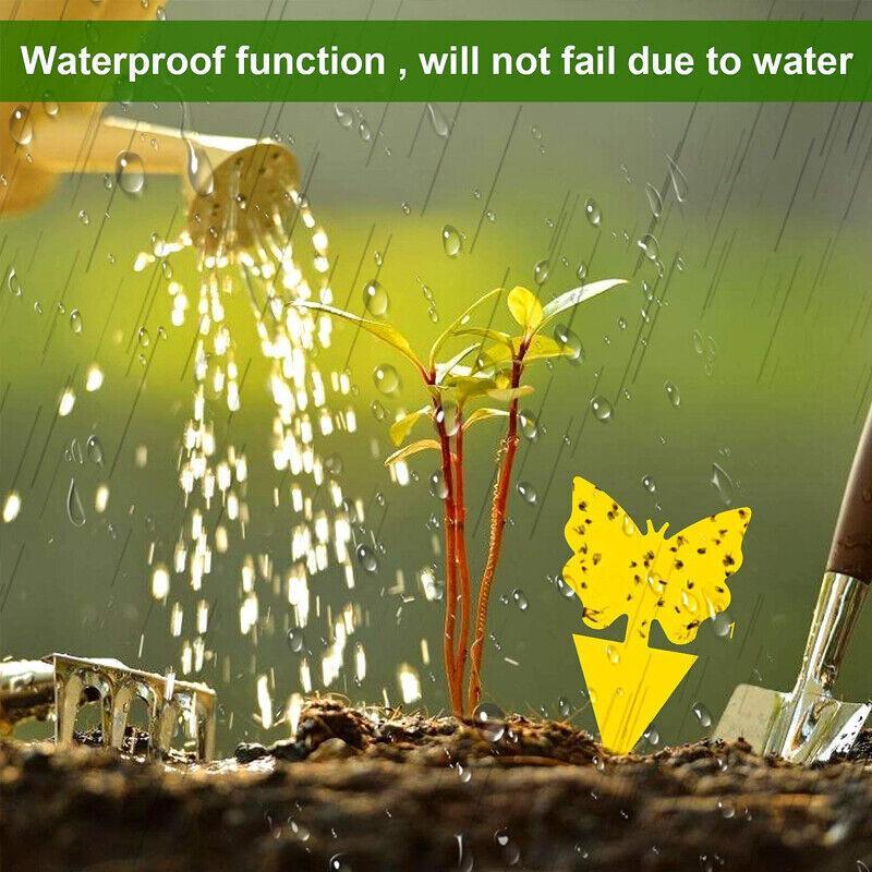 10X Dual Sided Sticky Trap Insect Killer Whitefly Thrip Fruit Fly Gnat - Sunflower 10PCS