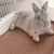 Pet Mat Kennel Cushion Dog Cat Bed Sleeping Pad Soft Washable for Crate Floor - 60x60cm