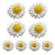 8PCS Sunflower Daisy Paper Flowers 20cm/30cm Wall Hanging Party Room Decoration