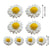 8PCS Sunflower Daisy Paper Flowers 20cm/30cm Wall Hanging Party Room Decoration