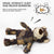 Puppy Squeaky Plush Toy Small Dog Chew Soft Bear Pet Companion - Brown-28cm