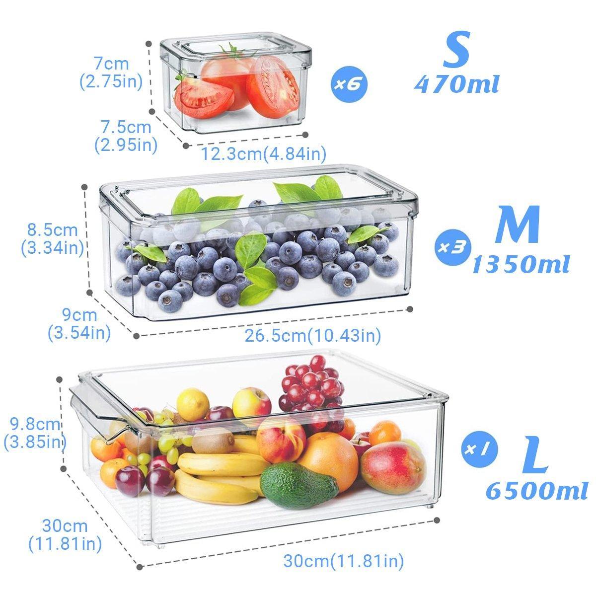 10PCS Clear PET Refrigerator Storage Box Food Grade Fruit Freezer Organizer Set