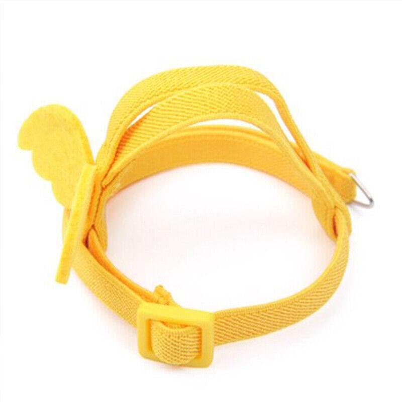 Parrot Bird Harness Leash Adjustable Flying Training Rope Cockatiel Conure Budgie - Blue